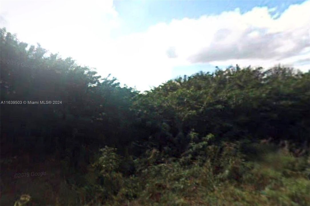 En Venta: $21,900 (0.25 acres)