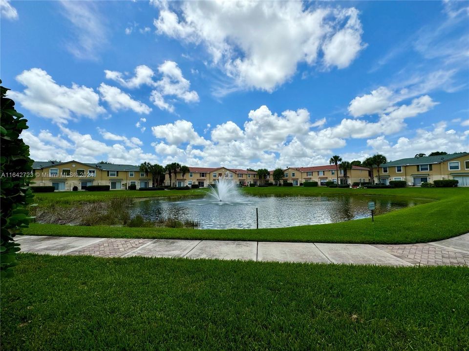 view from patio