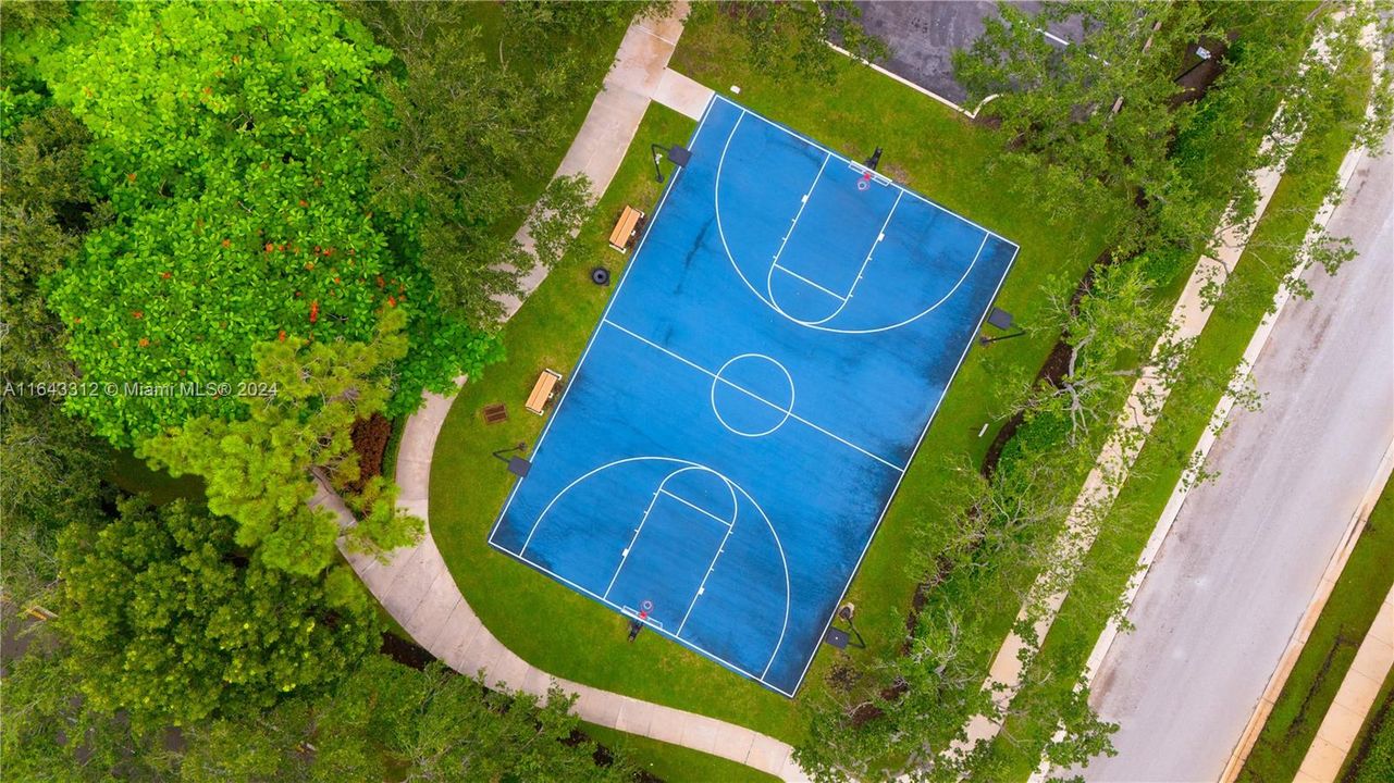 Basketball Court