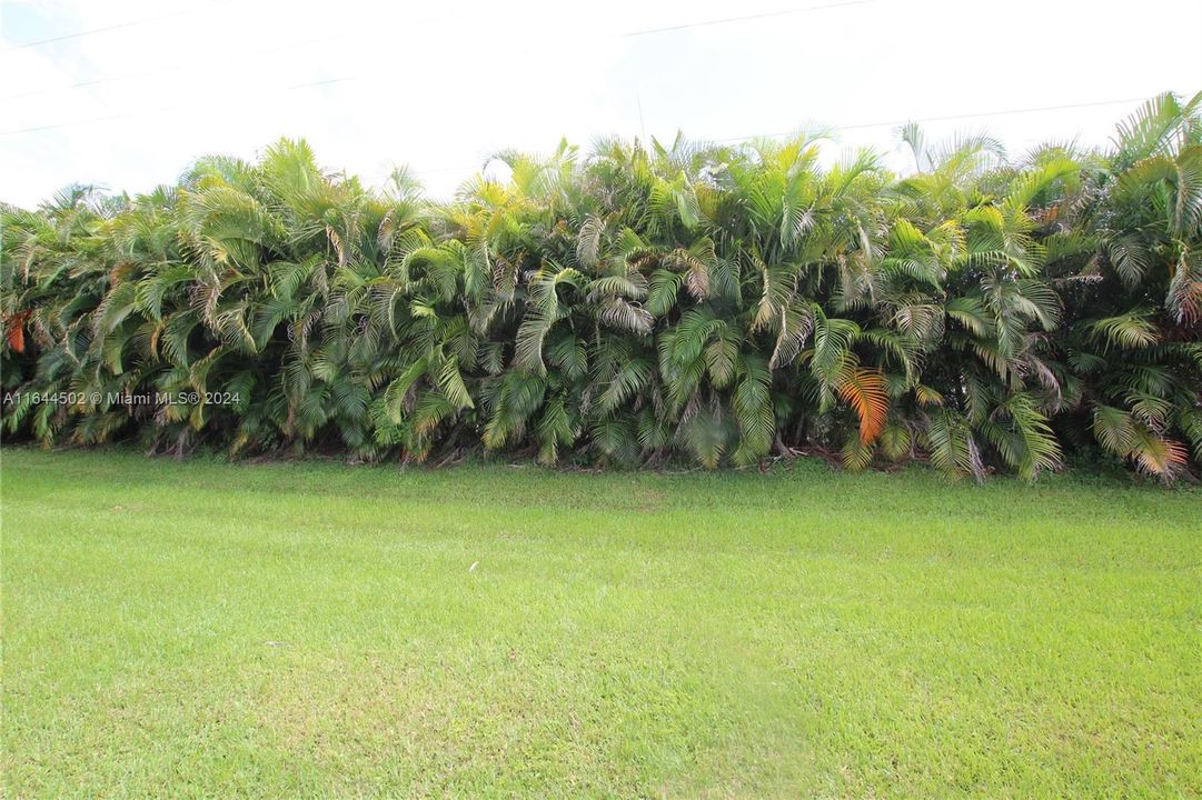 En Venta: $275,000 (0.06 acres)