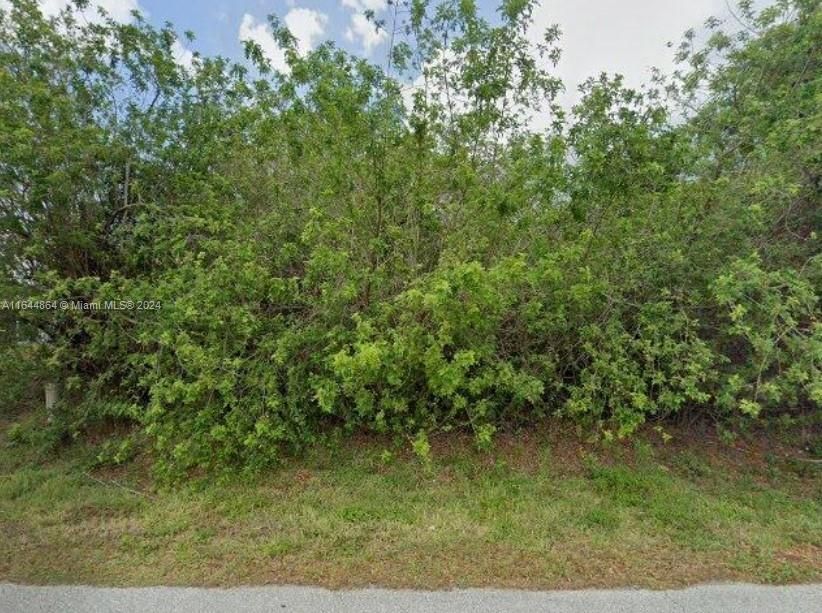 For Sale: $26,900 (0.23 acres)