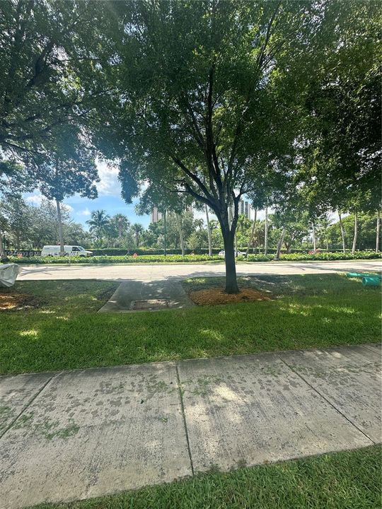 VIEW OF CC DR & GOLF COURSE SOUTH EXPOSURE