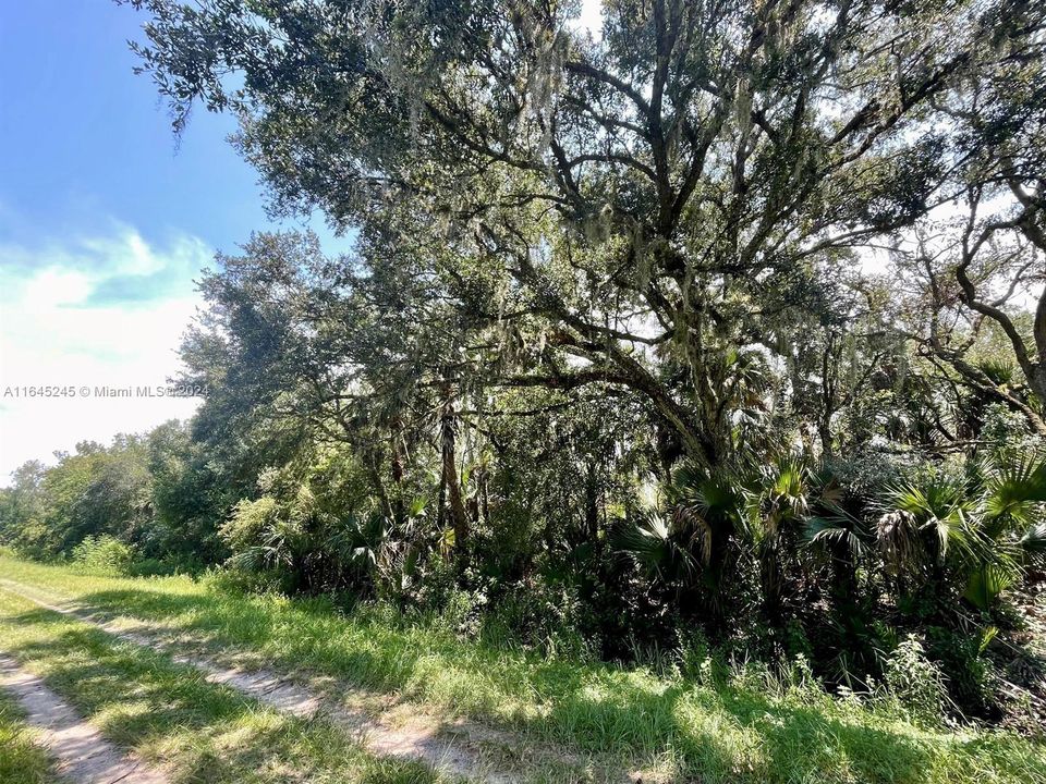 Active With Contract: $22,000 (1.25 acres)