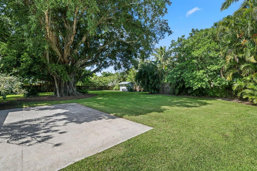 Yard