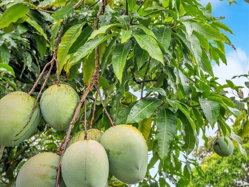 En Renta: $4,200 (3 camas, 2 baños, 1887 Pies cuadrados)