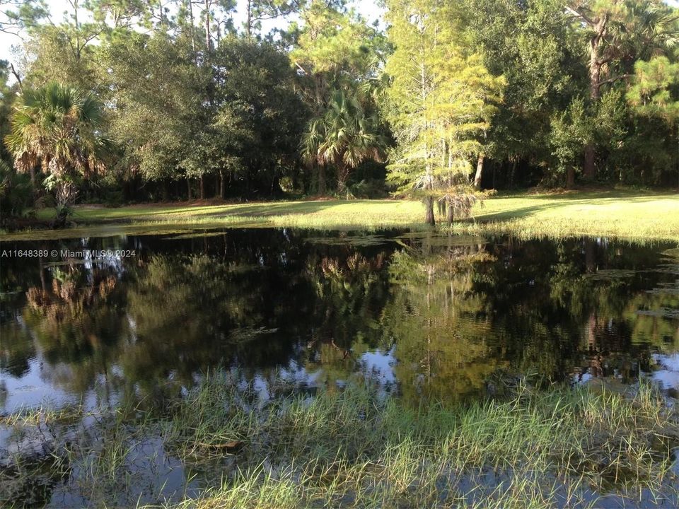 Pond 2