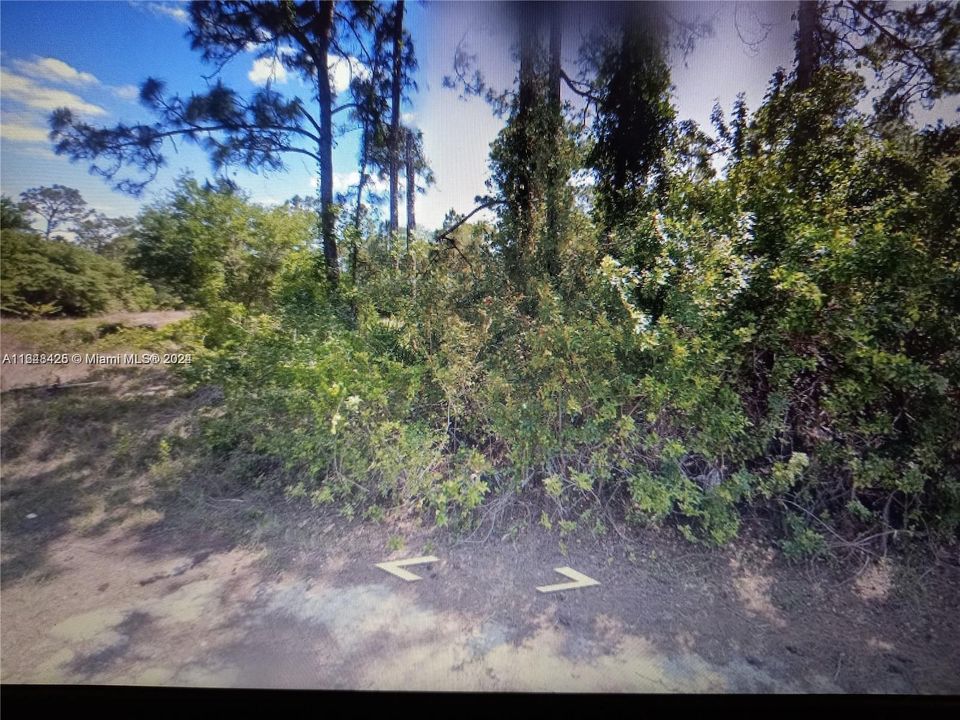 For Sale: $29,000 (0.27 acres)