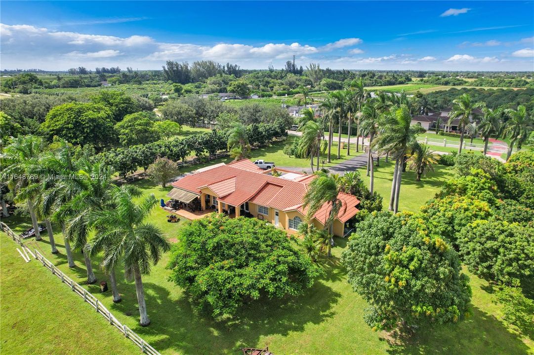 FENCED & CROSS FENCED, LANDSCAPED W ASST FRUIT TREES..