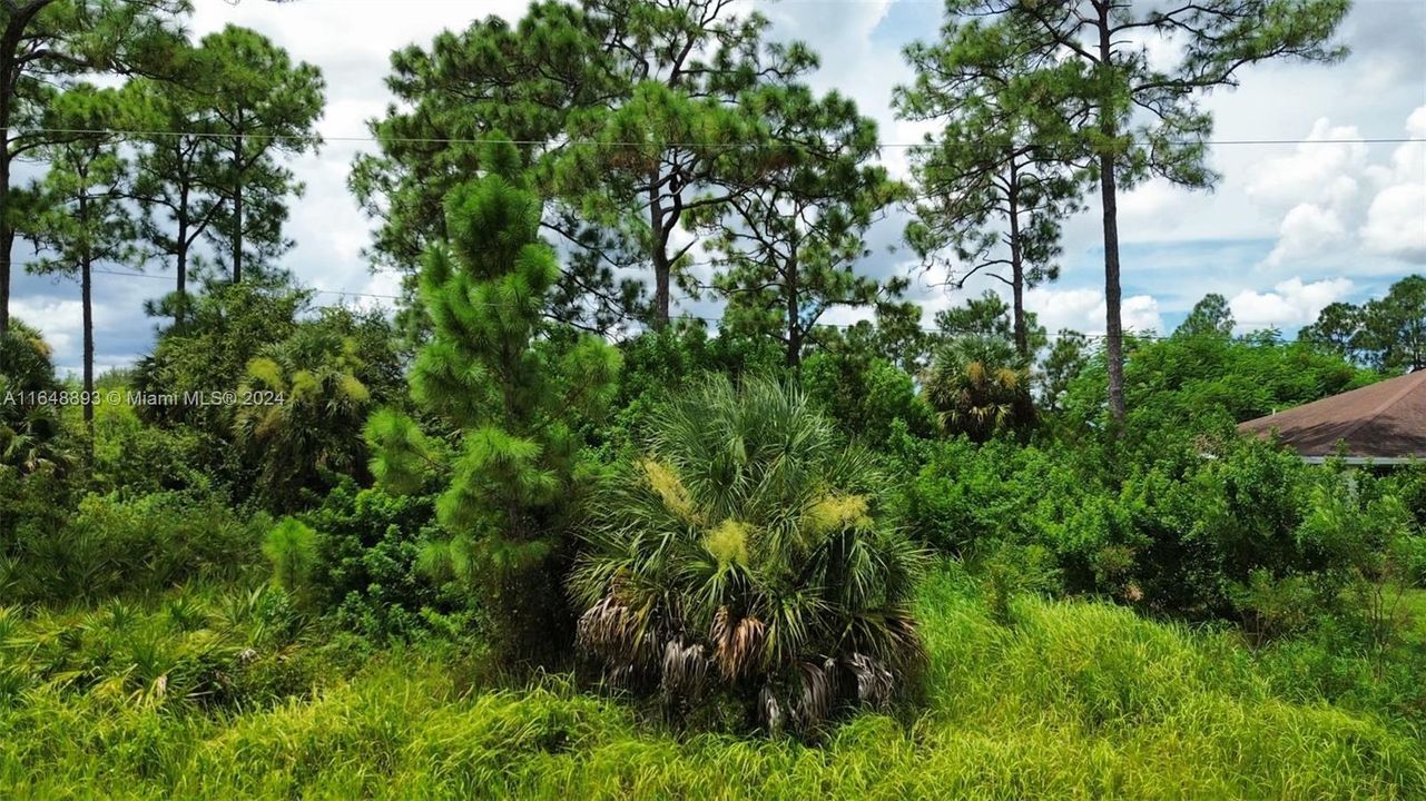 На продажу: $40,000 (0.61 acres)