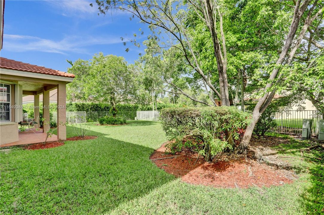 Private Backyard