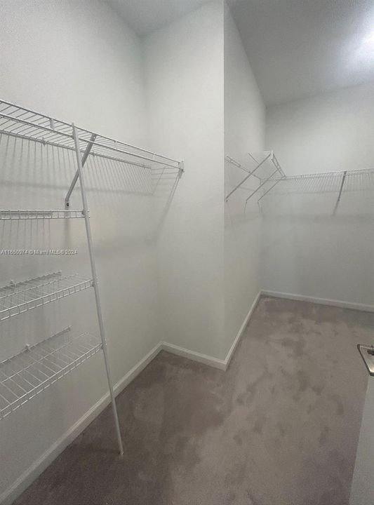 Primary Walk-in Closet