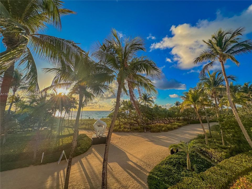 Beach Walking Path