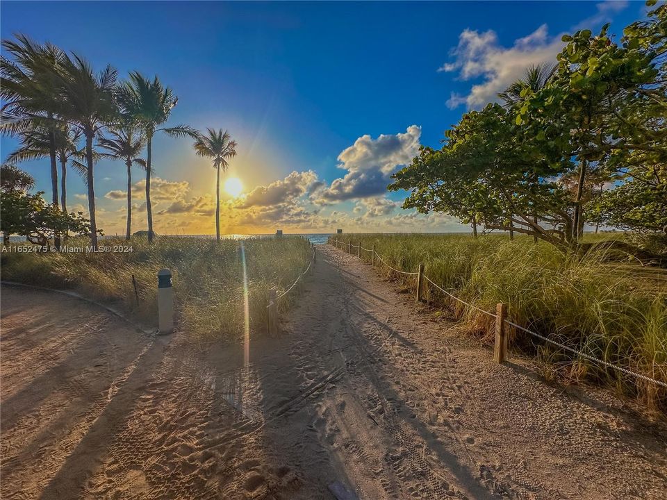 Beach Walking Path