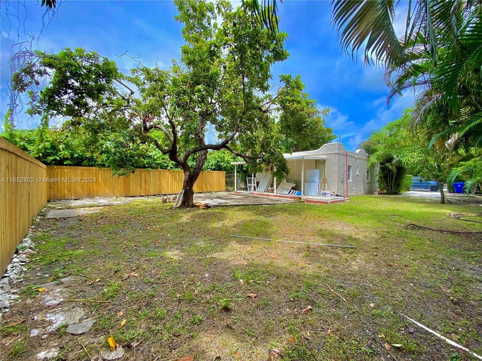 Large Covered Patio with Laundry Avocado Tree