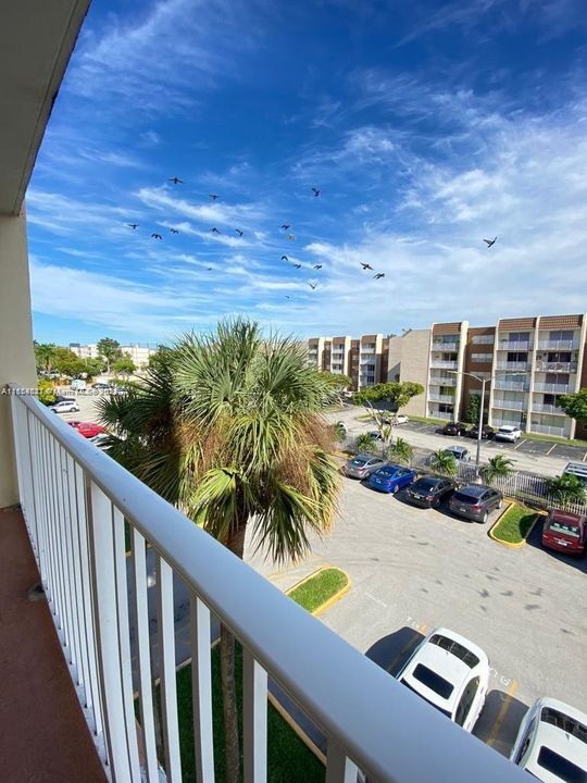 Recientemente alquilado: $2,100 (2 camas, 1 baños, 980 Pies cuadrados)