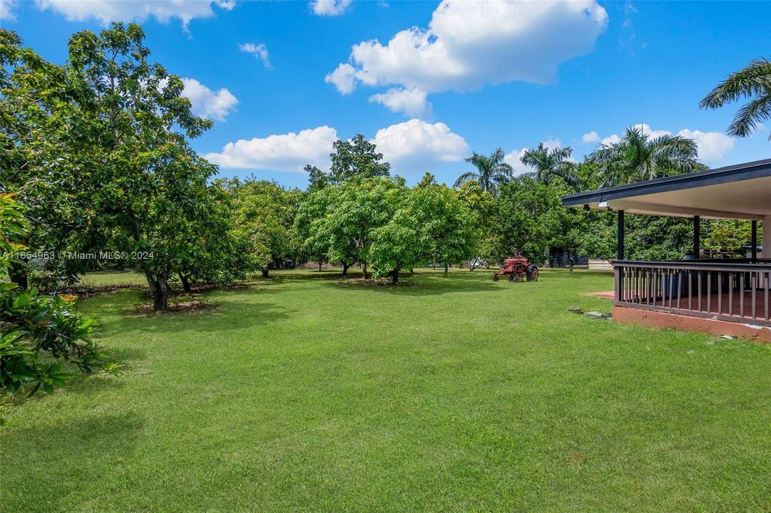 For Sale: $969,000 (3 beds, 2 baths, 1751 Square Feet)