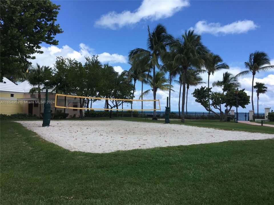 Volleyball Court