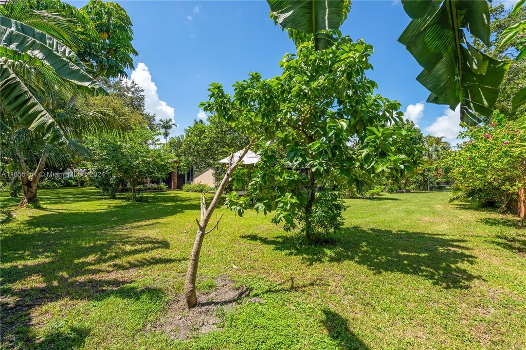 For Sale: $939,000 (3 beds, 2 baths, 2216 Square Feet)