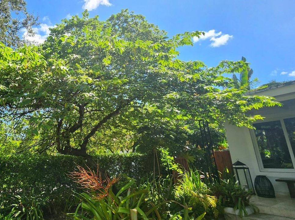 En Venta: $1,475,000 (4 camas, 3 baños, 1575 Pies cuadrados)