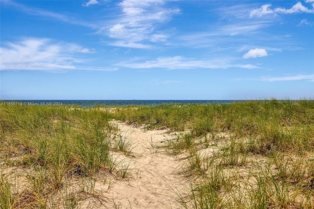 Sand Path to the ocean