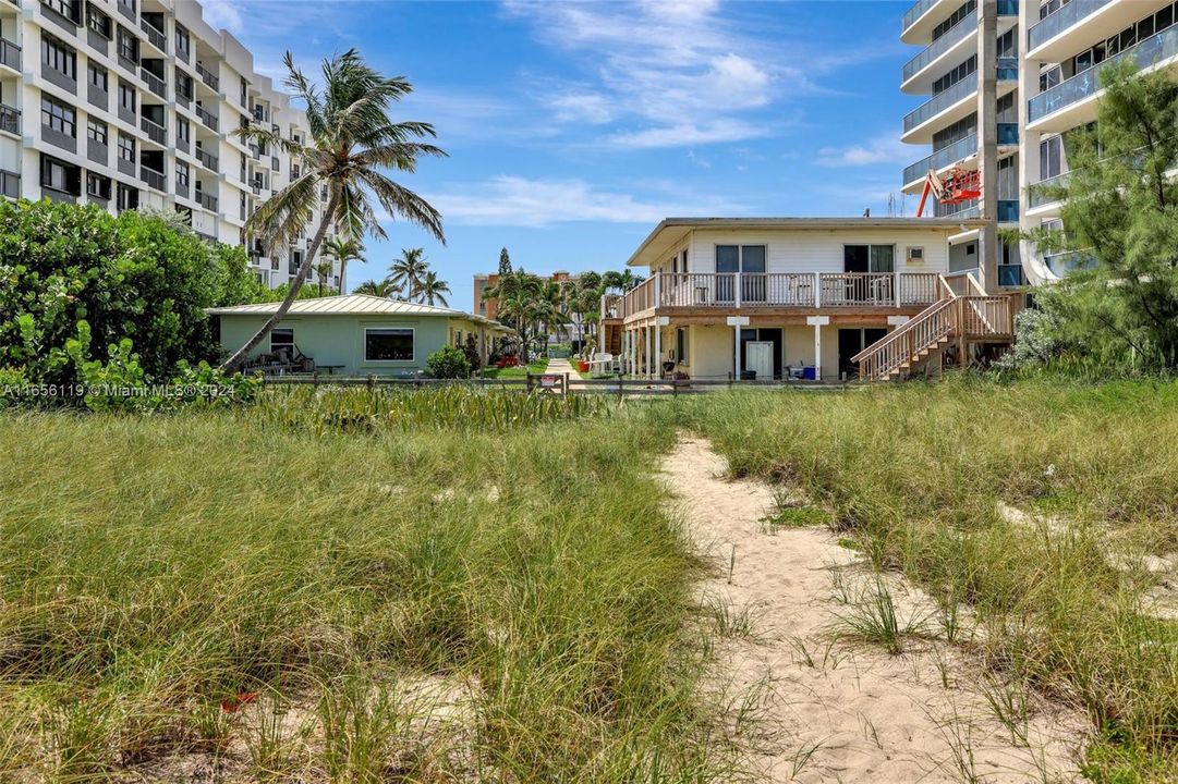 Sand Path to the ocean