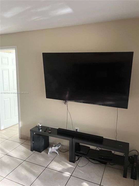 TV area for large screen