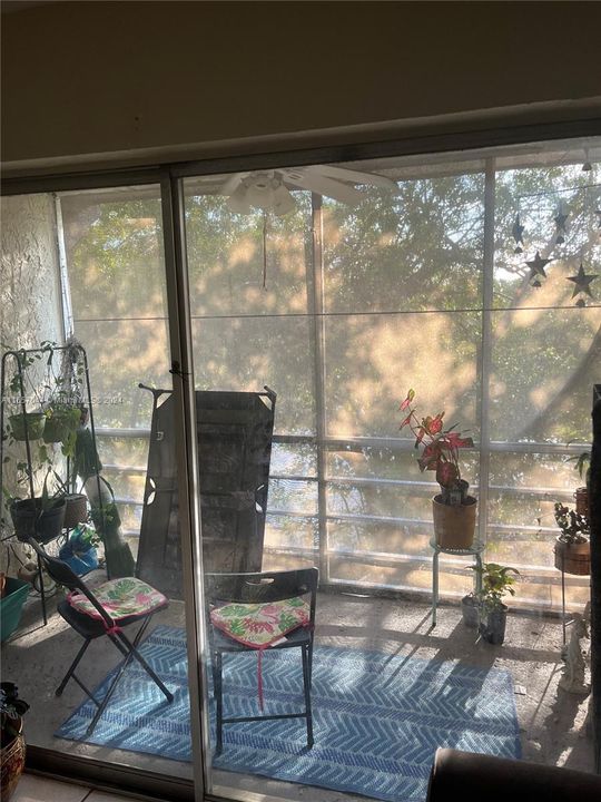 Back screened patio