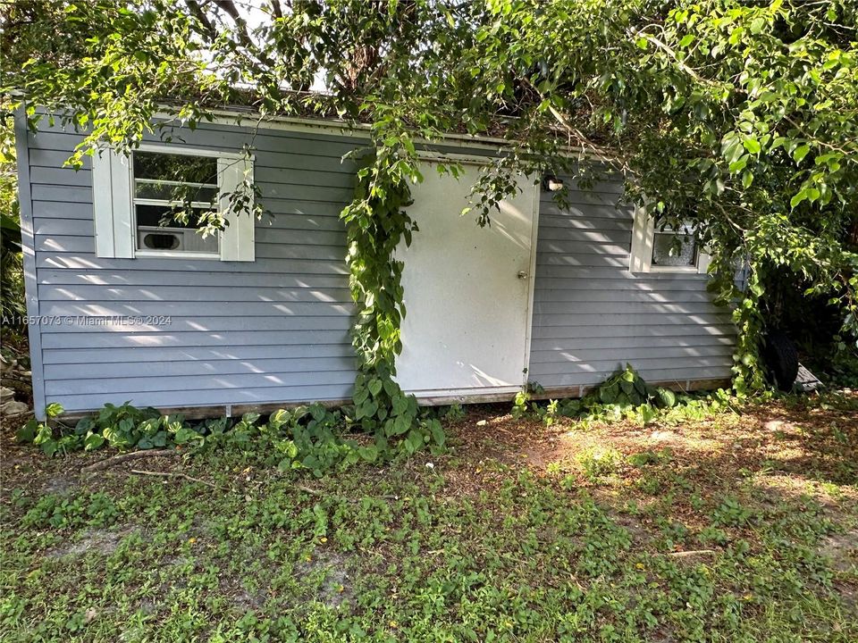 Shed in Back Yard