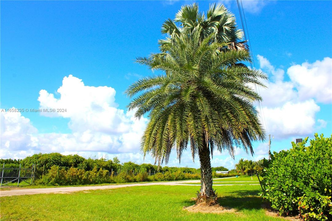 En Venta: $400,000 (1.13 acres)