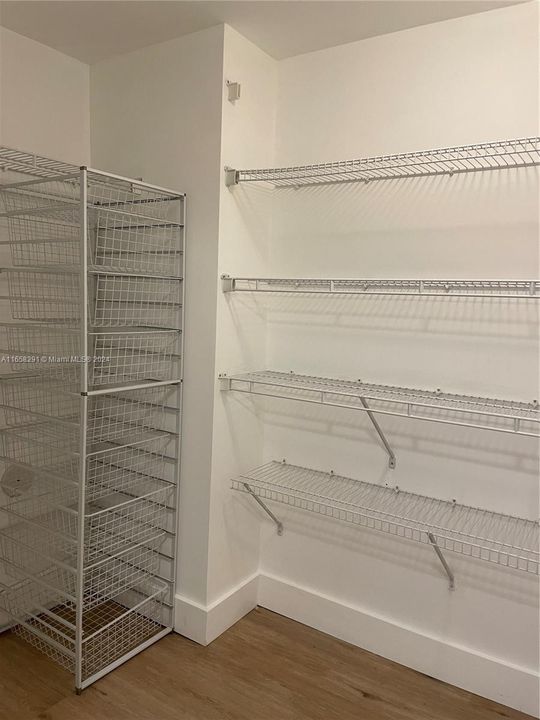 Walk-in Master Closet