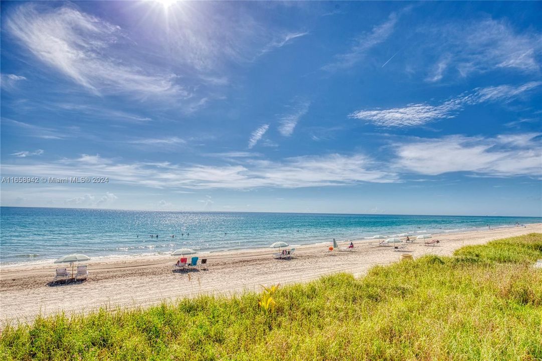 For Sale: $1,300,000 (3 beds, 2 baths, 1768 Square Feet)