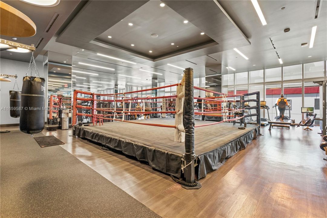 Boxing Ring