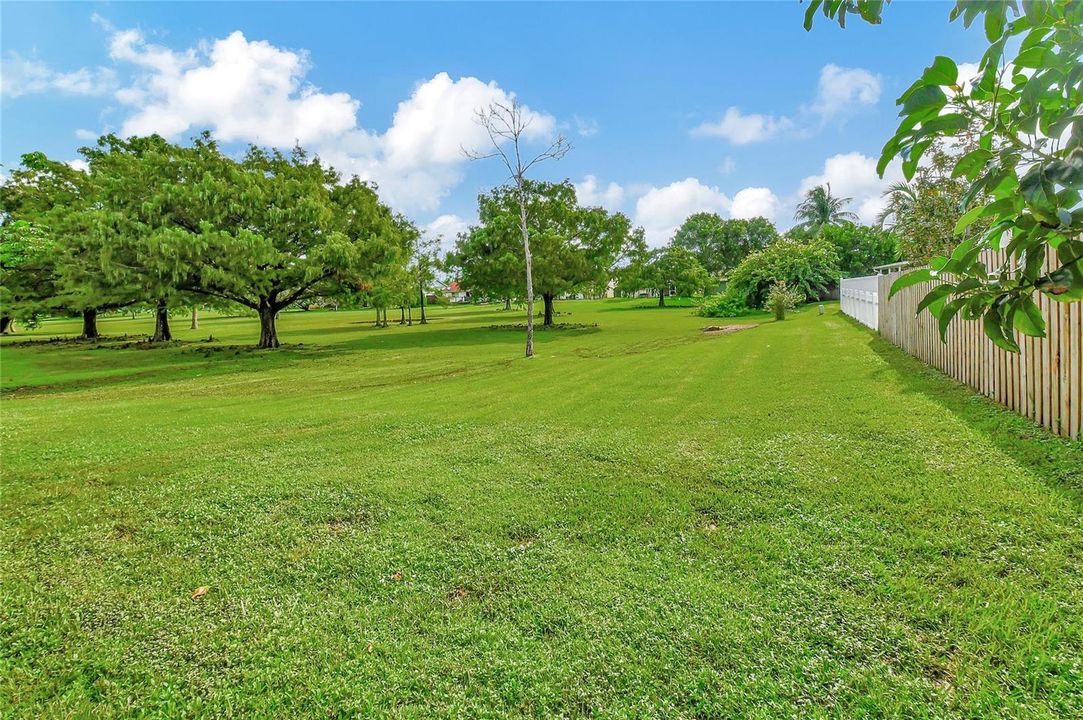 Backyard view OPEN SPACE