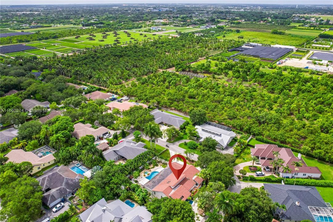 Enlarge all photos for best view. Gorgeous Lushly landscaped neighborhood in Redland 1/3 to 1+ acre estates, she's a 4(5)/3 plus office pool/spa, over 4k square ft., 2 car garage w/ 2 circle driveways. The street is a horse shoe. ideal for walking. buffered  by  groves/farms