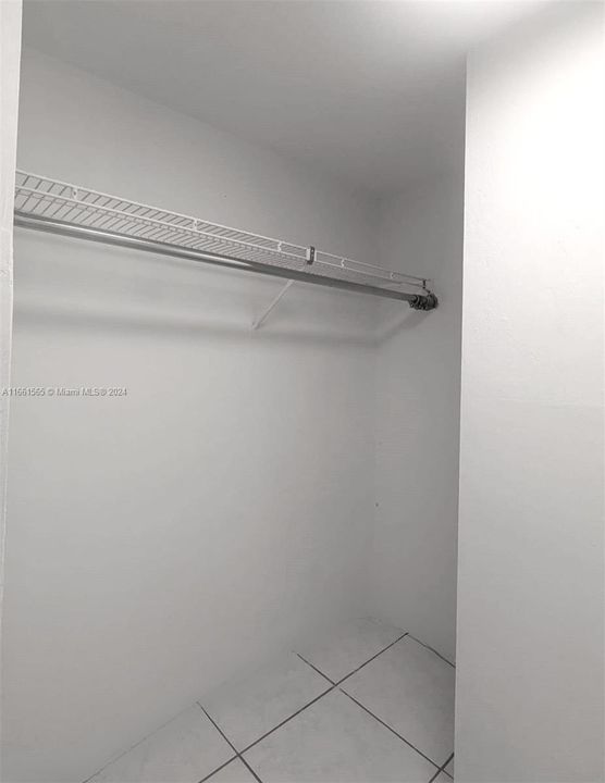 Freshly painted, spacious walk-in closet.