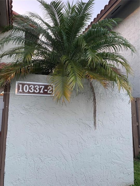 For Rent: $3,200 (3 beds, 2 baths, 1379 Square Feet)