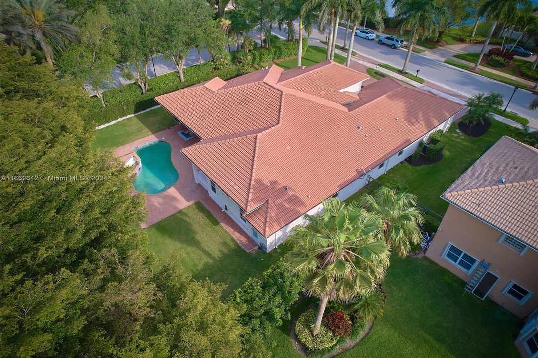 Pool and garden view