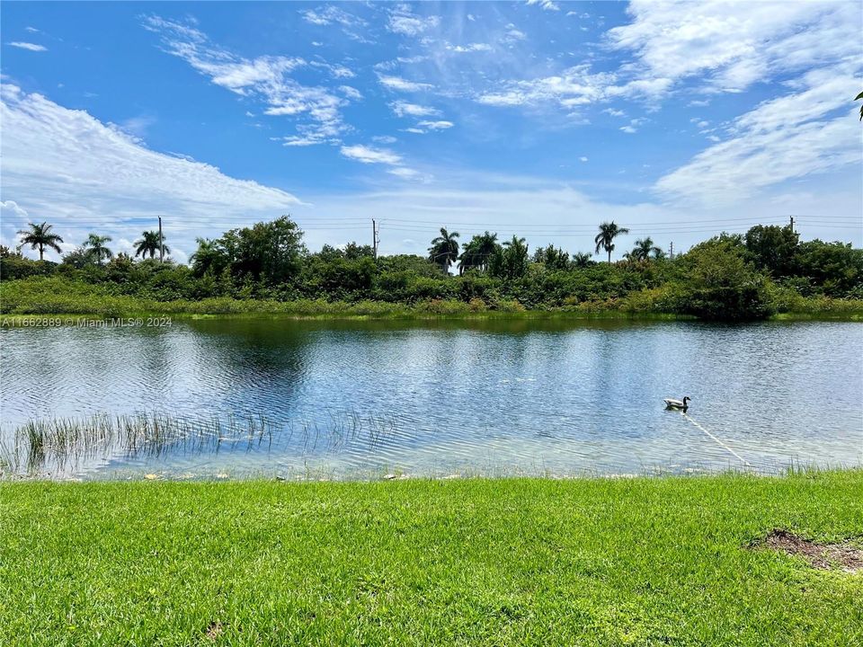 Backyard Lake View w/ no neighbors!