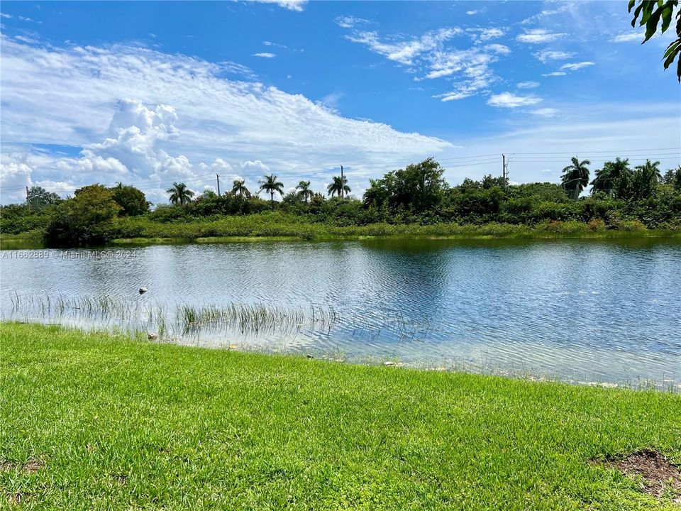 Unobstructed Lake View