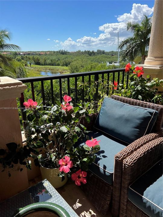 Living Room Balcony