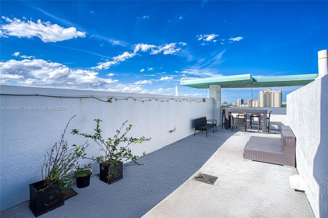 Private Rooftop patio