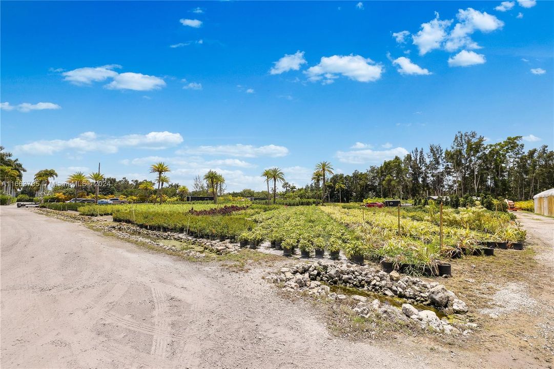 En Venta: $3,700,000 (5.00 acres)