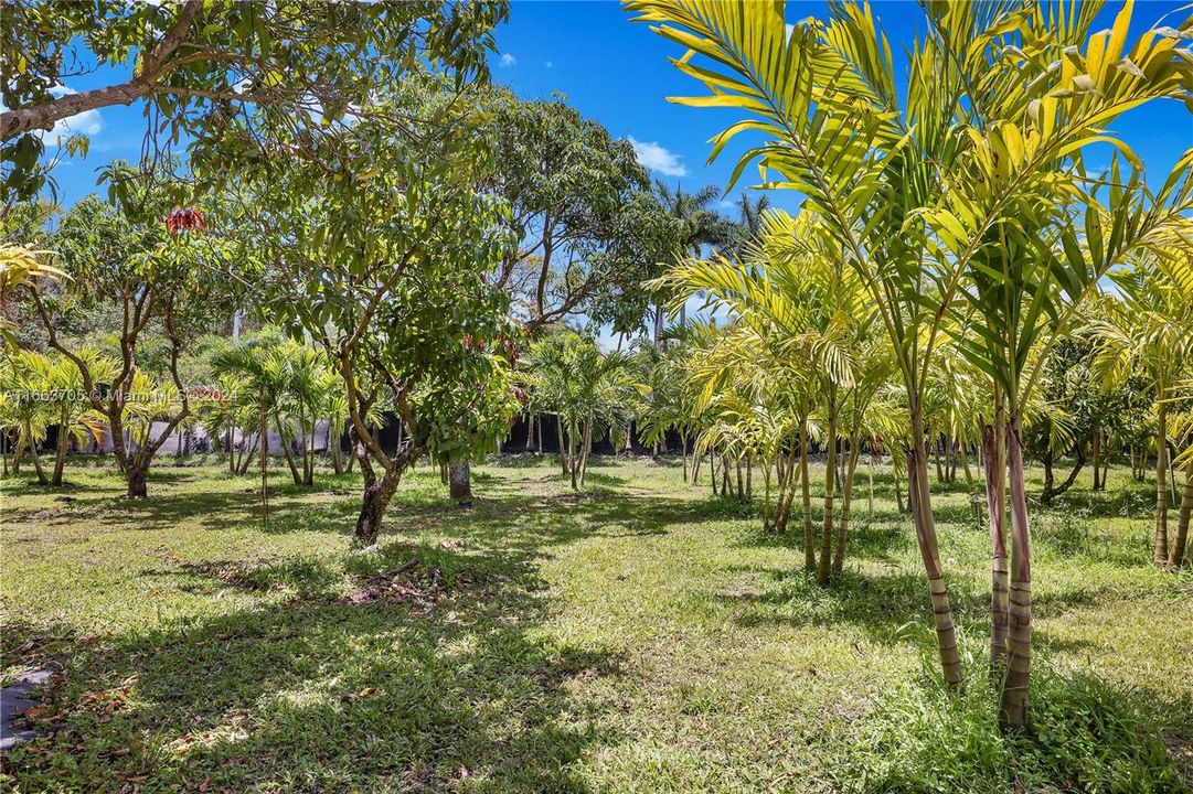 En Venta: $3,700,000 (5.00 acres)