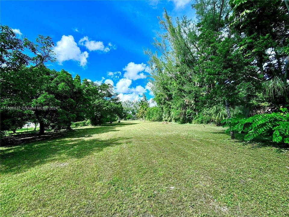 Beautiful mature trees along the perimeter of this lot