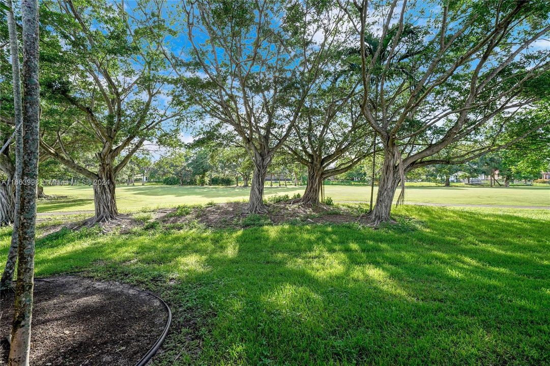 For Sale: $565,900 (3 beds, 2 baths, 1593 Square Feet)