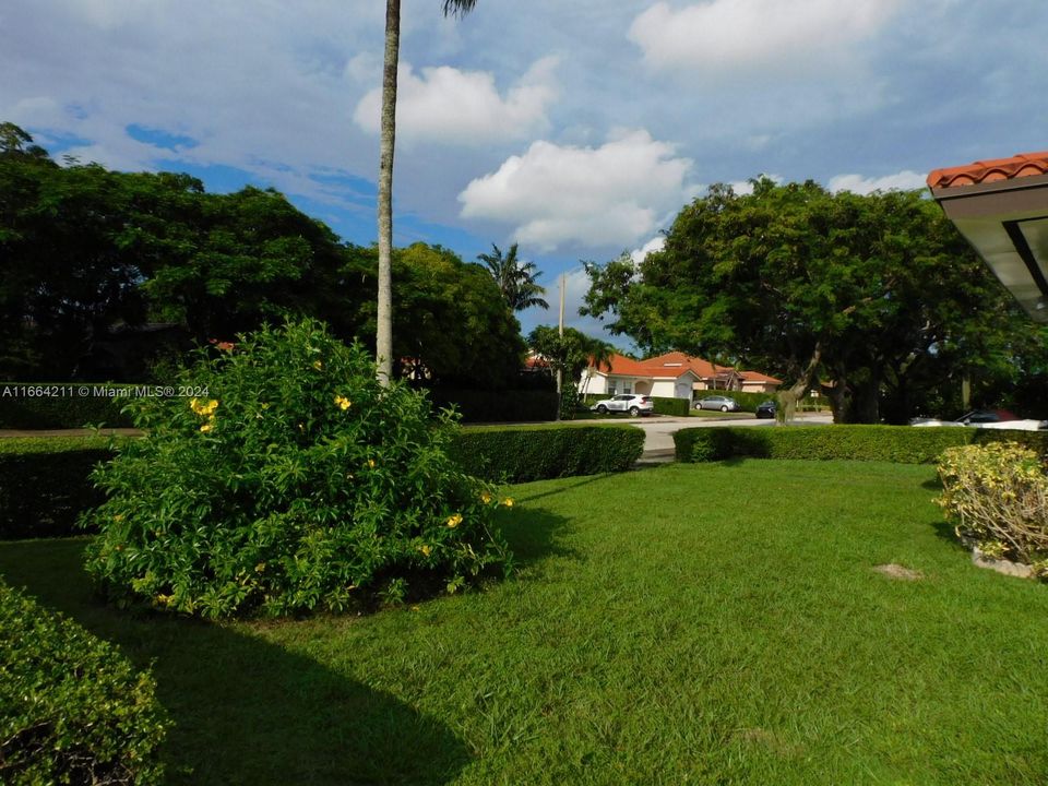 Side yard to the North of the property.