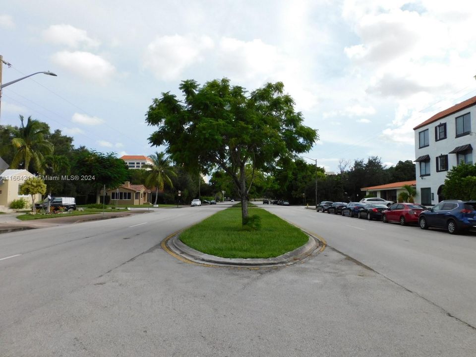 Lovely tree lined Ponce De Leon Blvd.