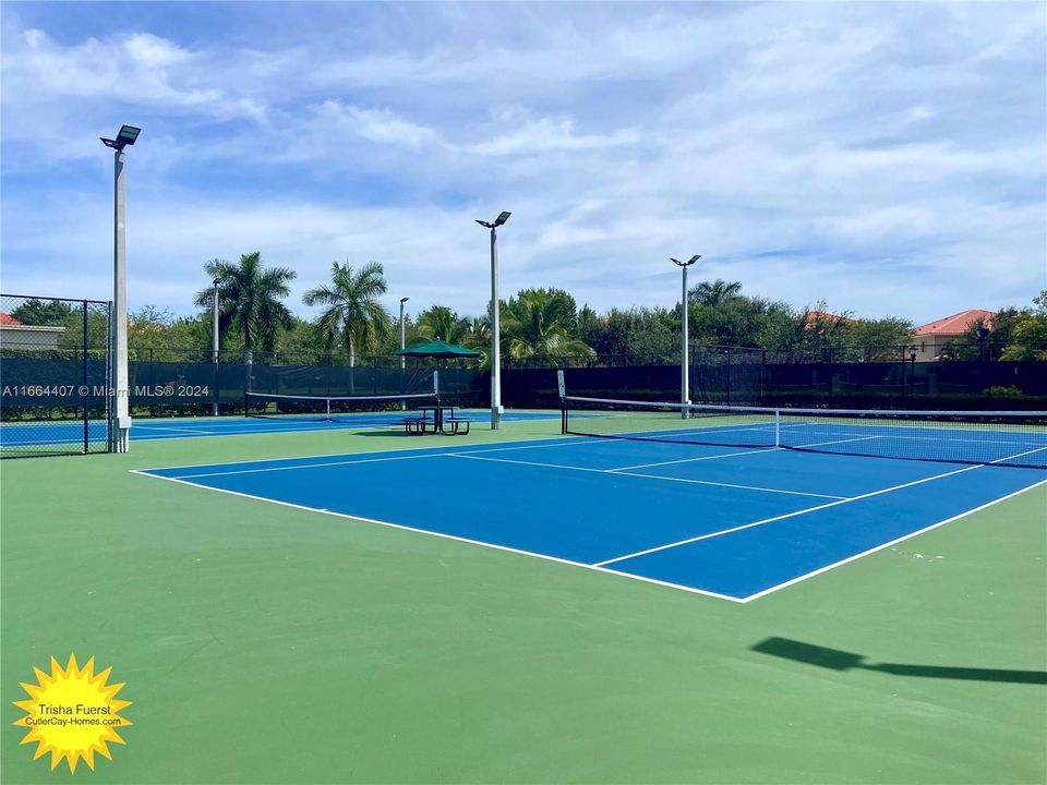 Lighted tennis courts