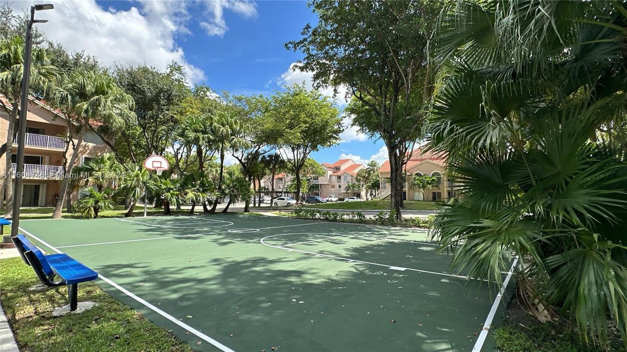 Basketball Court