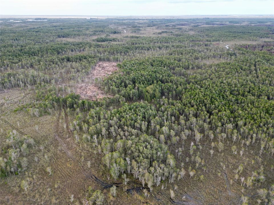 На продажу: $895,000 (10.00 acres)